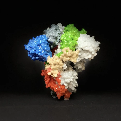 Model 3D al proteinei spike SARS-CoV-2
